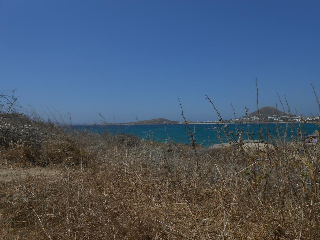 الشقق الفندقية آغيوس بروكوبيوسفي  O Fotis المظهر الخارجي الصورة